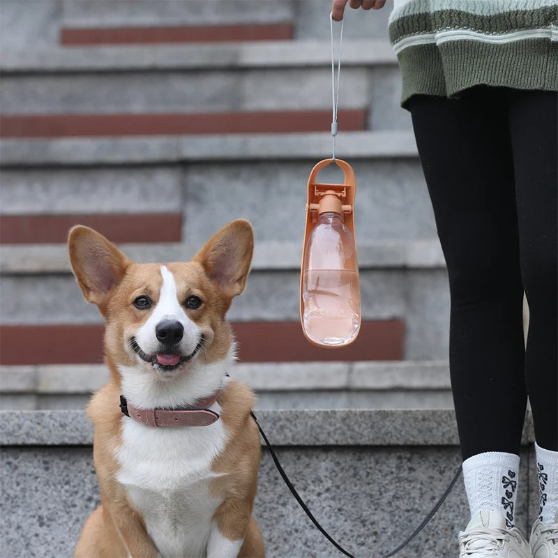 Portable Animal Water Bottle