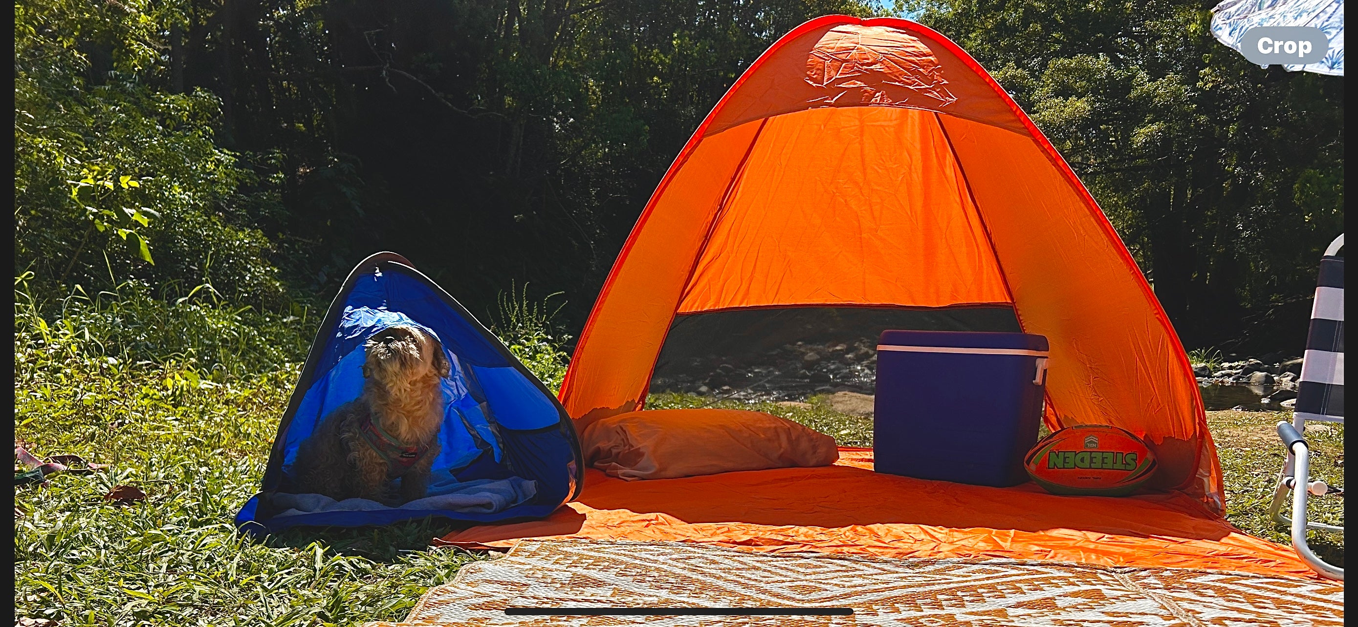 Pop Up Tent